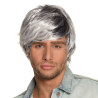 Perruque Cheveux Gris